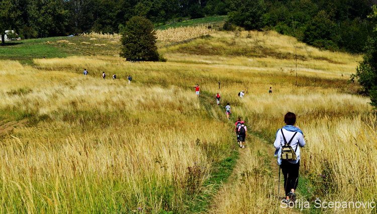 Sokolovac planinarska šetnja nacionalni park Djerdap_09