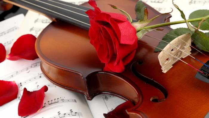 Violina i ruža i kratka priča Serenada za Anu - Danilo Kiš