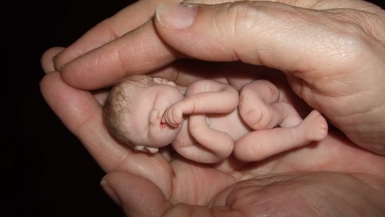 Abortirani ljudski fetusi u hrani, piću, vakcini i kozmetici Abortirani ljudski fetusi u hrani, piću, vakcini i kozmetici