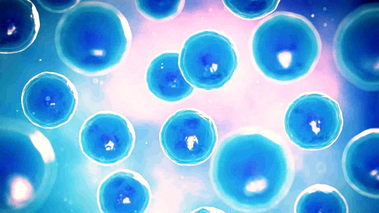 Šta je Regenerativna medicina, matične ćelije i genetska terapija