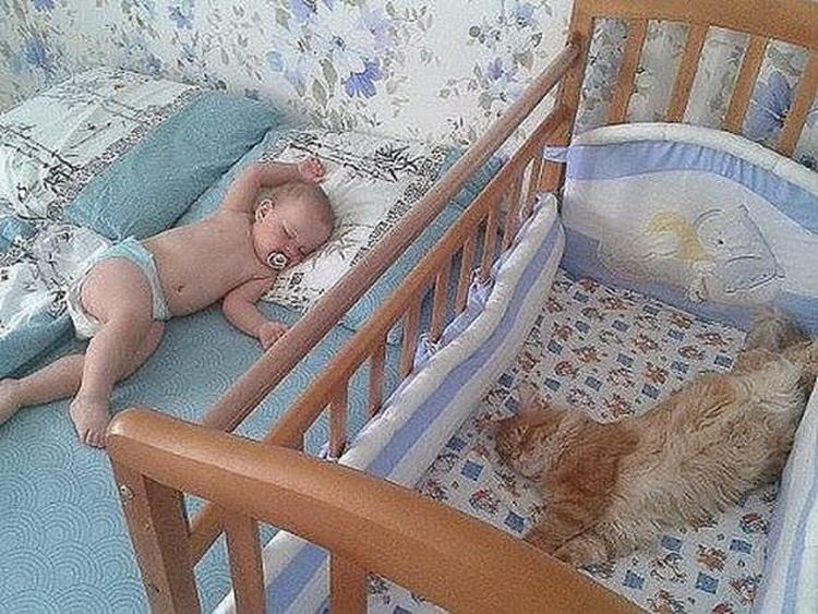 Ljupke fotografije dece i beba 16