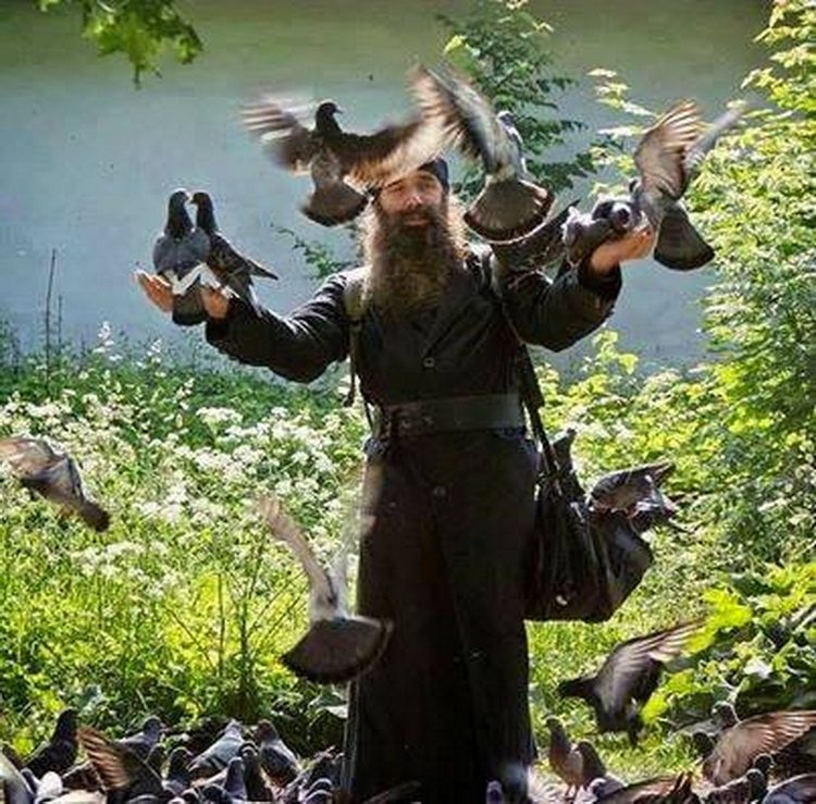 Monasi i životinje 2