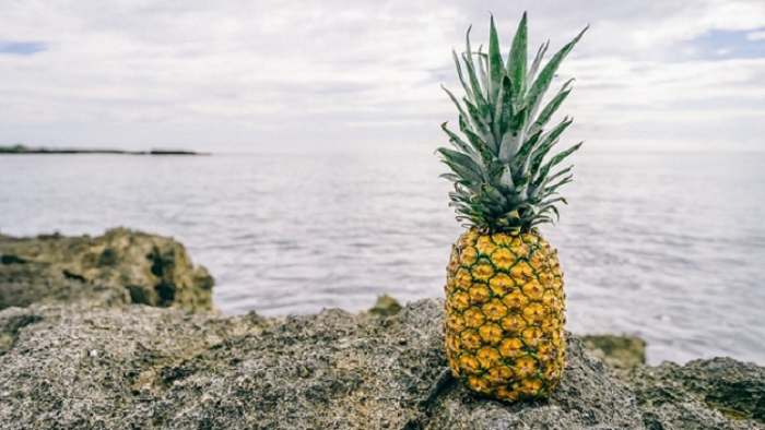 ananas