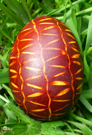 dzak jaje