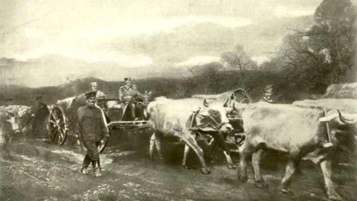 kralj petrova četr'i vola