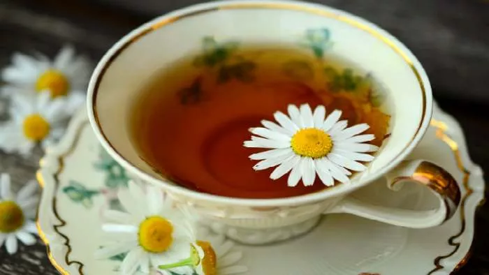 čaj od kamilice