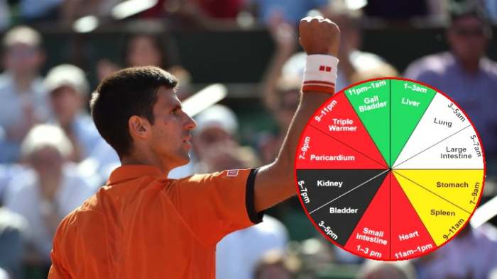 novak