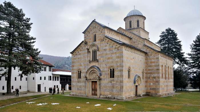 šuma borova