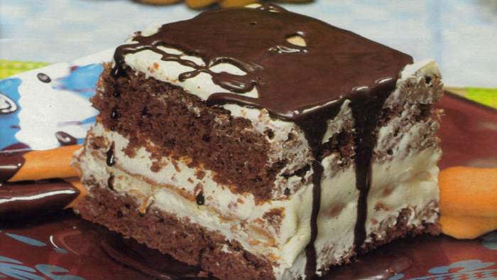 jang kocke