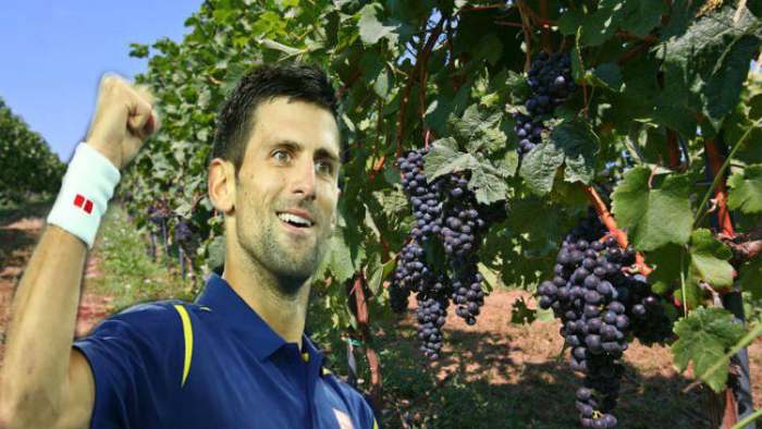vlasnik vinograda