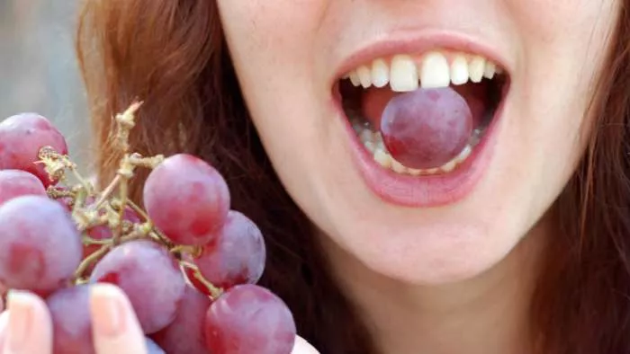 voćke koje se mogu poneti na put