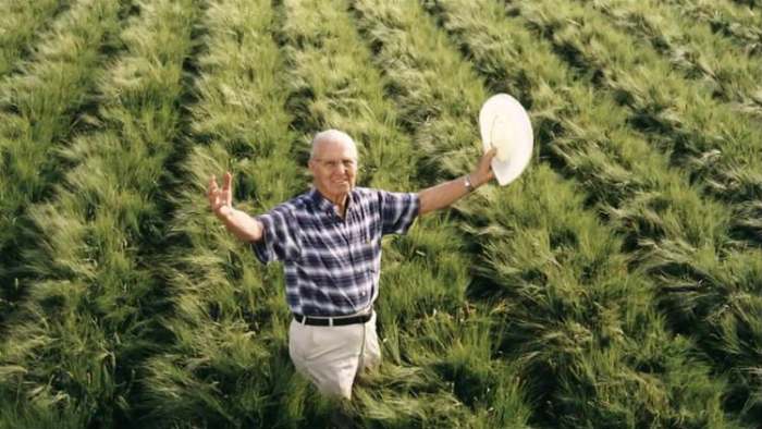 norman borlaug