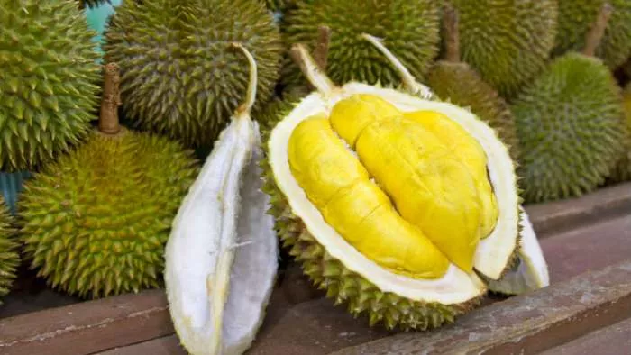 durian