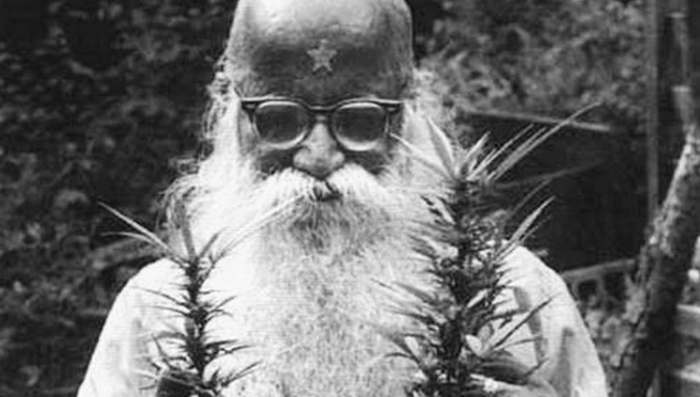 Deda Mika i marihuana - Da li 300.000 prevaranata živi u Beogradu