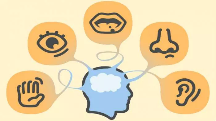 izoštriti sva čula