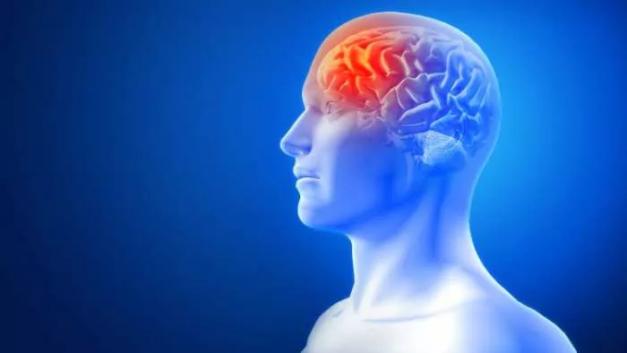 traumatska povreda mozga