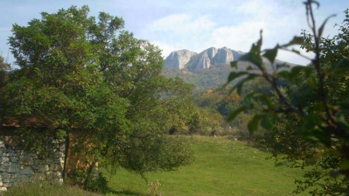 o basarskom popu