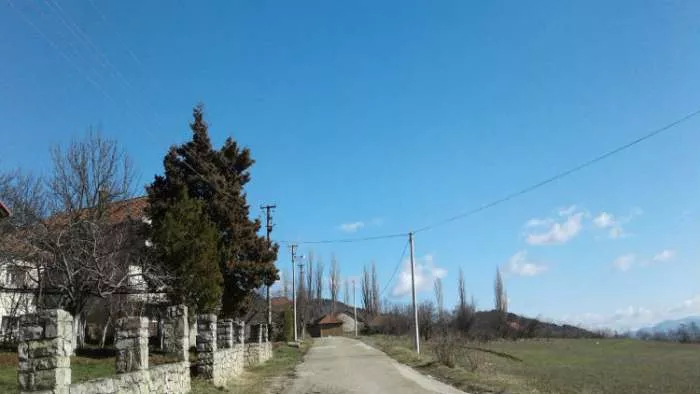 србијо моја