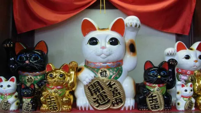 maneki neko