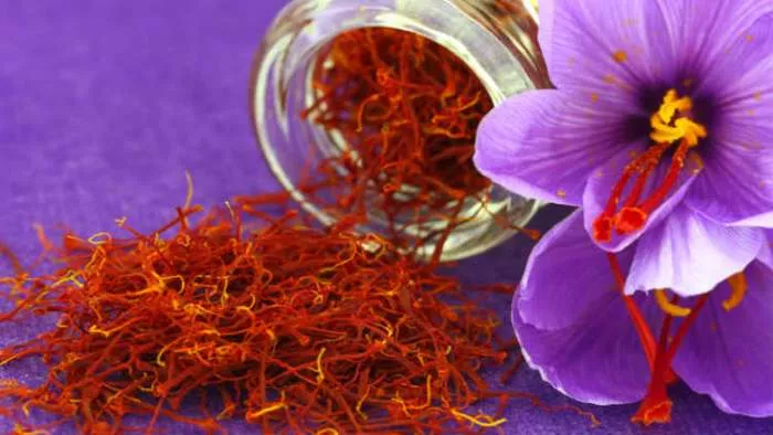 šafran