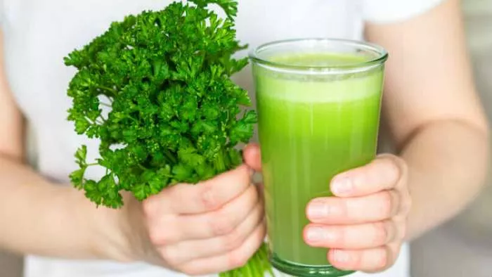 čišćenje organizma