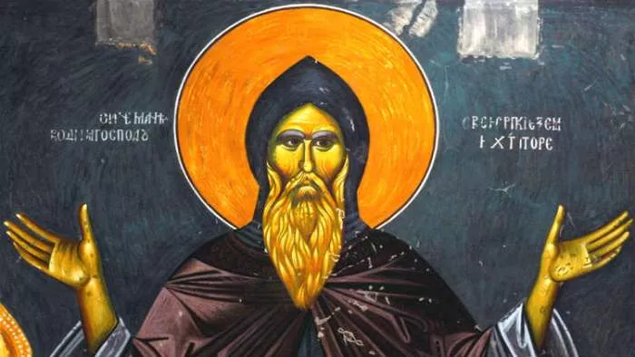 pouka stefana nemanje