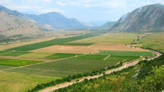 popovo polje
