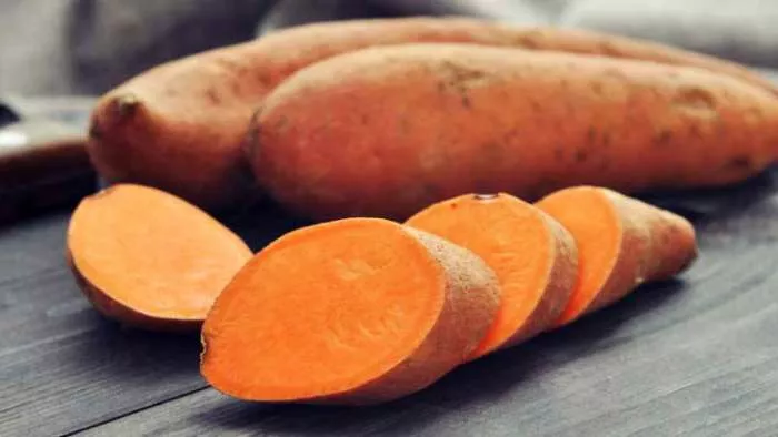 slatki krompir batat