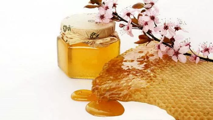 Priča o medu i zašto postoji lažni med - falsifikati meda prave profit