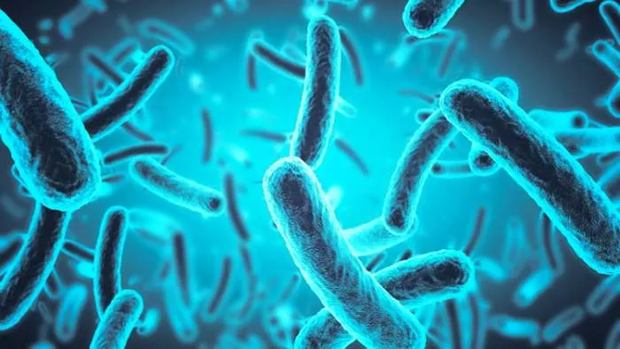 Probiotici i štetne nus pojave - može li probiotik biti štetan?