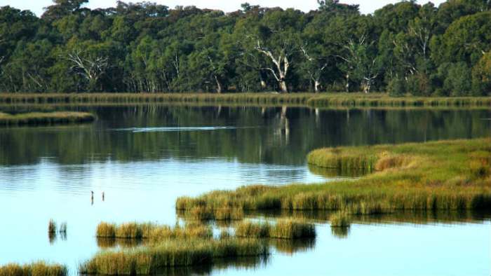 jezero