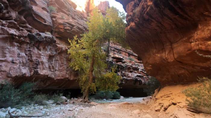 havasupai 2
