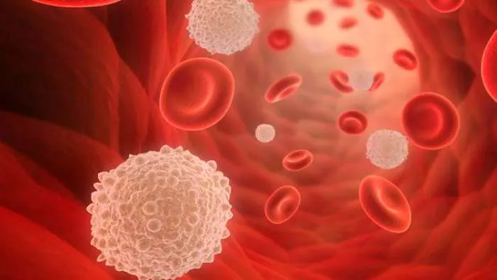 tipovi belih krvnih zrnaca