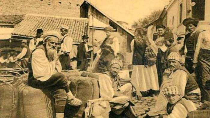 uticaj šljivovice
