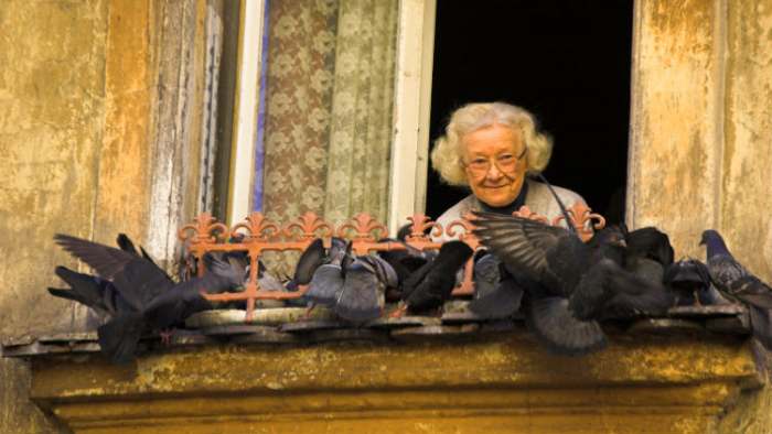 drugarica slavka