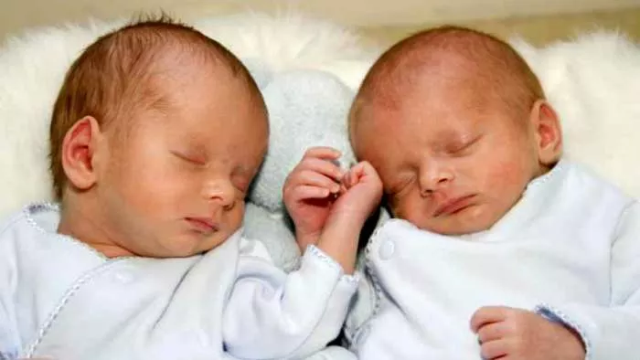 u stomaku nosio blizance
