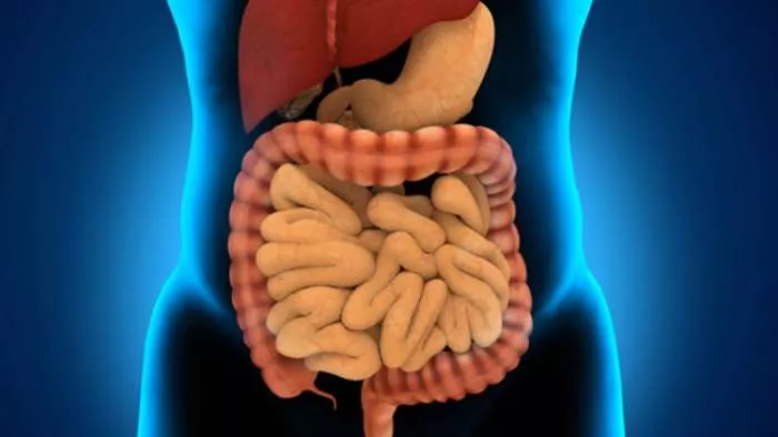 zdravlje sluzokože debelog creva