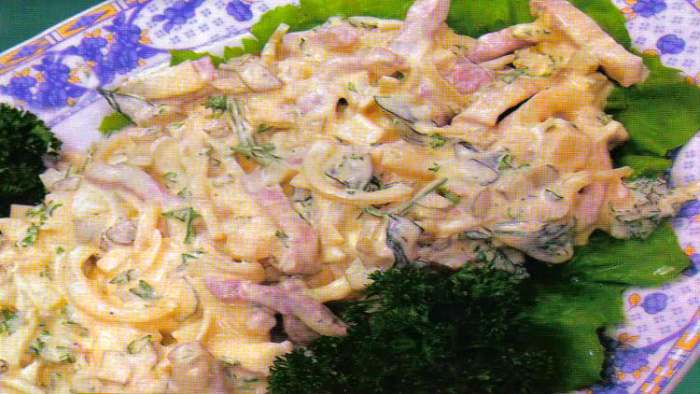 goveđa salata na holandski način