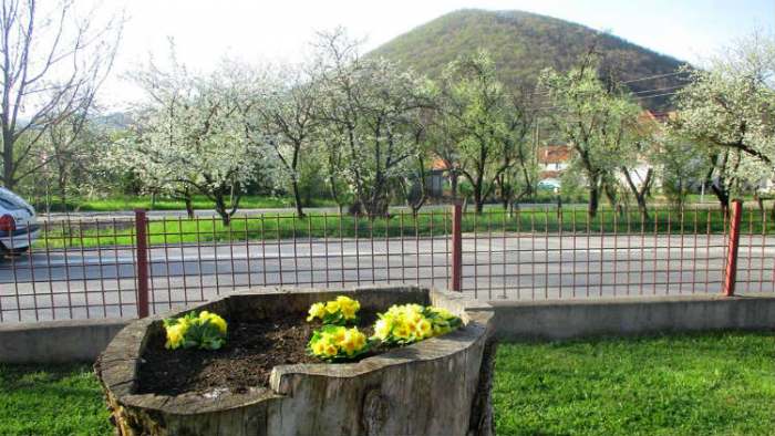 proleće u zubinom potoku