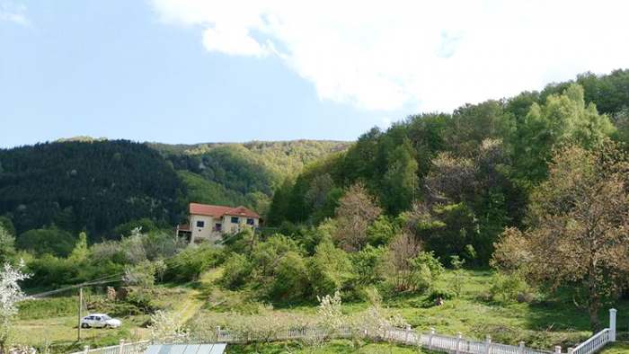 Feng šui mesto izobilja i bogatstva u kojem niko neće da živi vodeni zmajevi