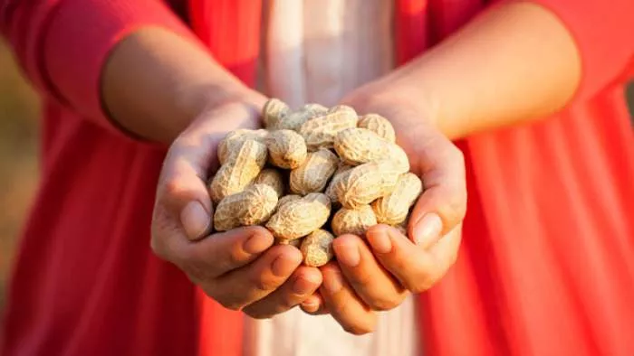 alergije na kikiriki