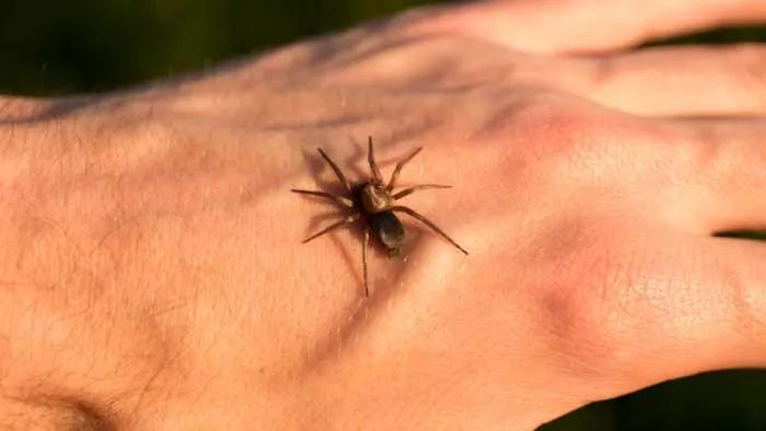 prva pomoć kod uboda