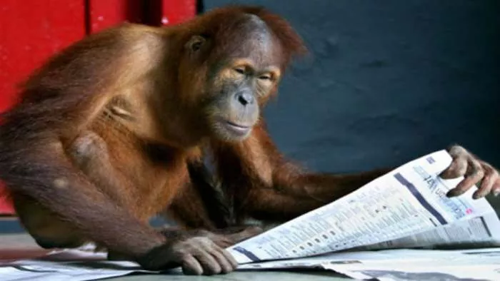 diplomirani eksperti