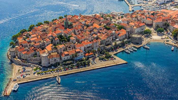 divlja korčula