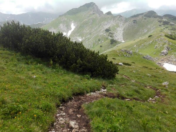maglić 5
