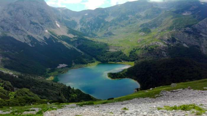 maglić
