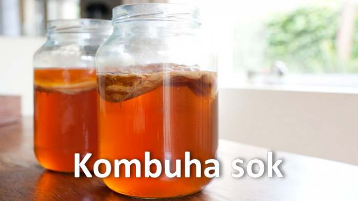 Kako se priprema Kombuha sok - japanska gljiva je prirodni probiotik