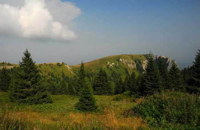Kopaonik, foto: Milan Todorović