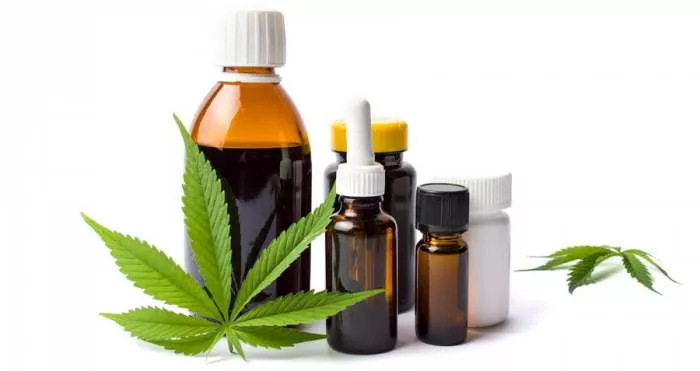 Kanabis i ulje kanabisa - Lekovito delovanje kanabisovog ulja Kanabis i ulje kanabisa - Lekovito delovanje kanabisovog ulja