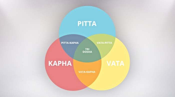 ishrana prema tipu tela